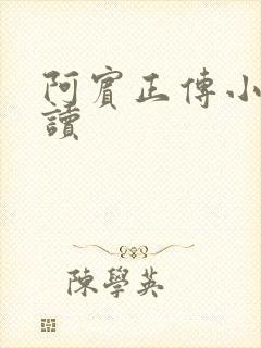 阿宾正传小说在读