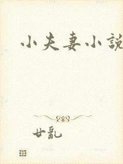 小夫妻小说