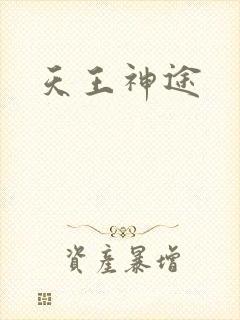 天王神途