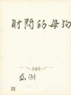 财阀的母狗们
