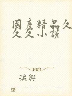 国产精品久久久久久小说封面