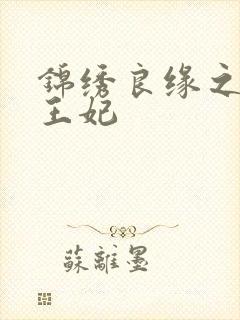 锦绣良缘之北地王妃