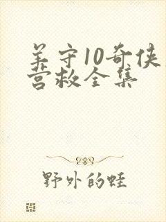 羊守10奇侠大营救全集