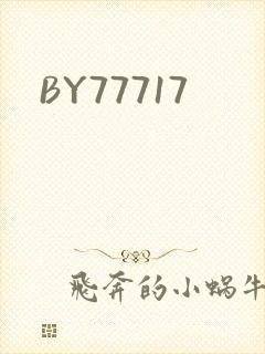 BY77717封面