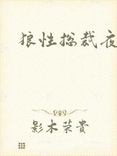 狼性总裁夜欢宠