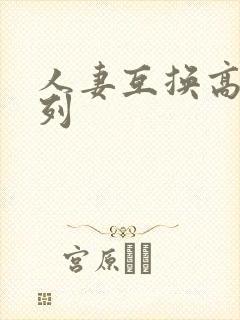 人妻互换高h系列