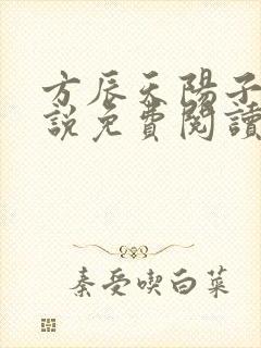 方辰天阳子的小说免费阅读