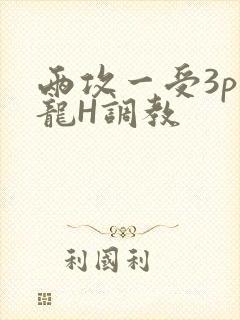 两攻一受3p双龙H调教