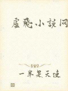 卢飞小说网封面