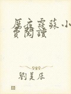 厉夜霆苏小汐免费阅读封面