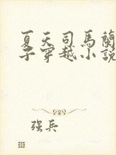 夏天司马兰九皇子穿越小说笔趣阁封面