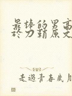 最棒的男高中生于刀鞘原文阅读封面