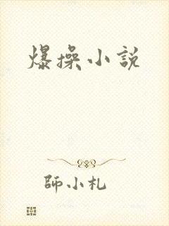 爆操小说