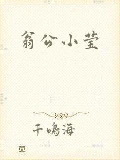 翁公小莹封面
