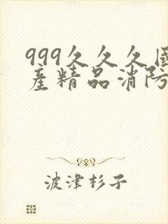 999久久久国产精品消防器材