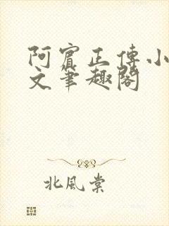 阿宾正传小说全文笔趣阁