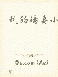 我的娇妻小说