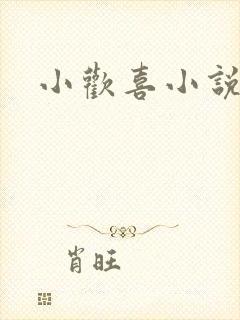 小欢喜小说封面