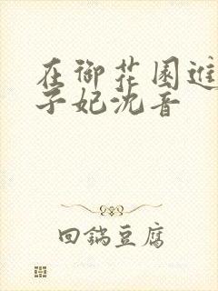 在御花园进入太子妃沈音