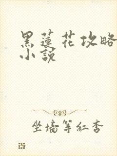 黑莲花攻略手册小说