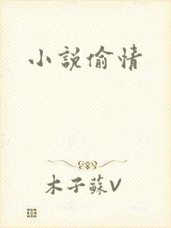 小说偷情