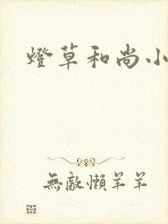 灯草和尚小说封面