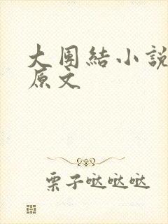 大团结小说阅读原文