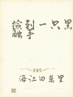 捡到一只黑心小触手封面