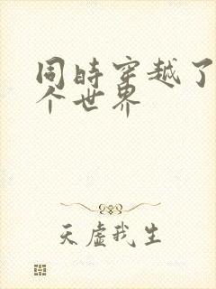 同时穿越了99个世界