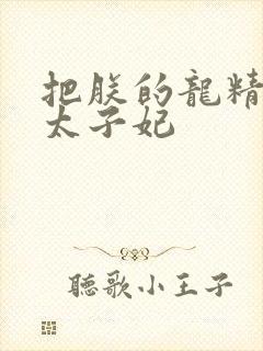 把朕的龙精含h太子妃封面