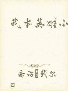 我本英雄小说封面