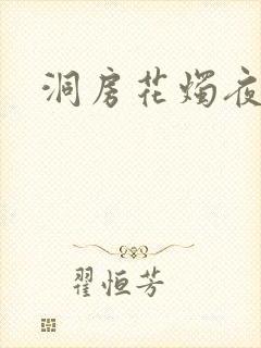洞房花烛夜小说