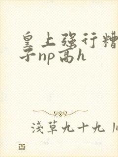 皇上强行糟蹋太子np高h