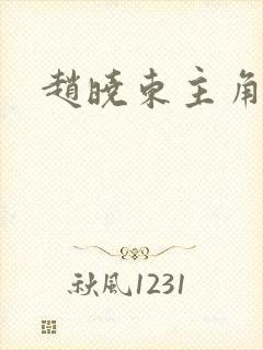 赵晓东主角小说封面