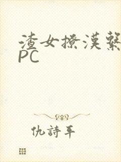 渣女撩汉系统NPC