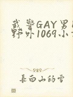 武警GAY男同野外1069小说封面