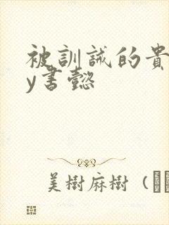 被训诫的贵妃by书懿封面