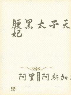 腹黑太子天降萌妃