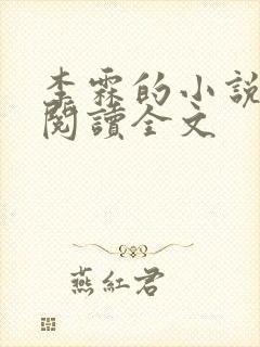 李霖的小说免费阅读全文