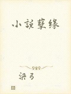 小说孽缘