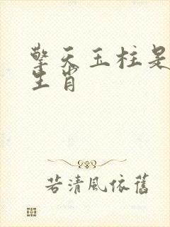 擎天玉柱是什么生肖