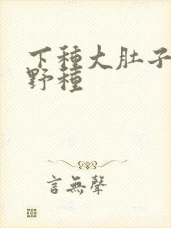 下种大肚子怀孕野种