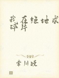 我在绝地求生捡碎片封面