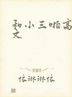 和小三啪高辣h文封面