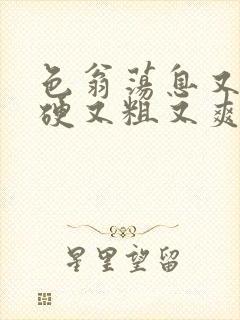 色翁荡息又大又硬又粗又爽电影封面