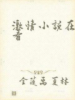 激情小说在线观看