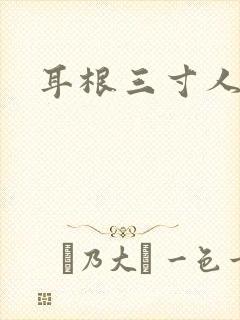 耳根三寸人间封面