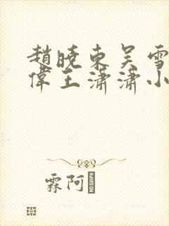 赵晓东吴雪晴郑伟王潇潇小说封面