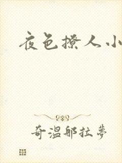 夜色撩人小说封面