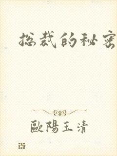 总裁的秘密情人封面